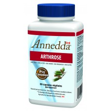 Arthrose